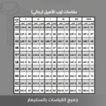 ⁦ثوب الأصيل رجالي أبيض 53-62⁩ - الصورة ⁦3⁩